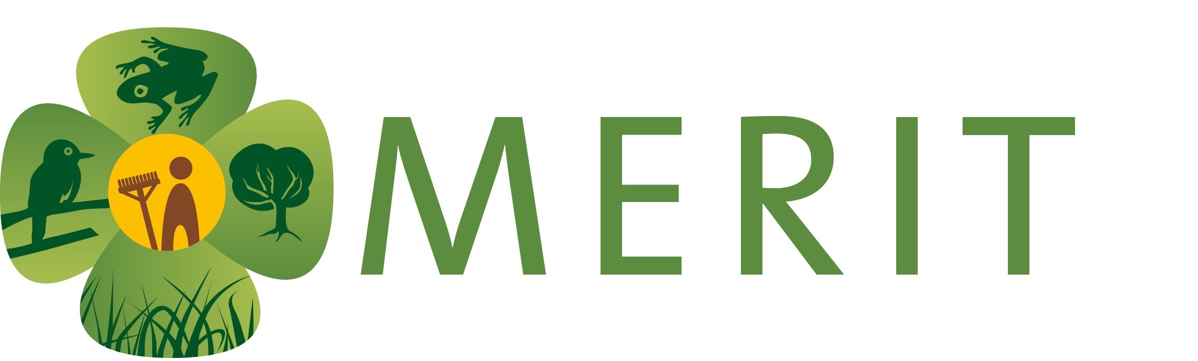 logo of the MERIT project